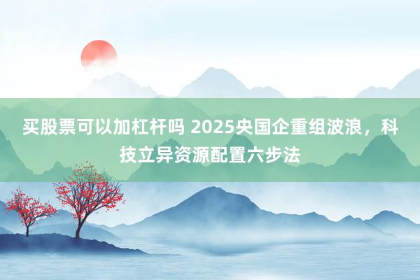 买股票可以加杠杆吗 2025央国企重组波浪,科技立异资源配置六步法