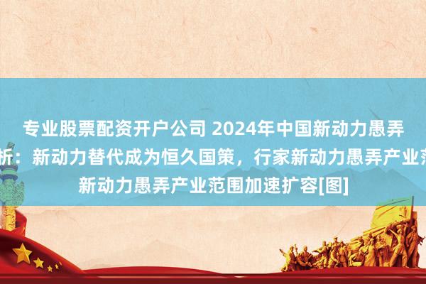 专业股票配资开户公司 2024年中国新动力愚弄行业市集近况分析：新动力替代成为恒久国策，行家新动力愚弄产业范围加速扩容[图]